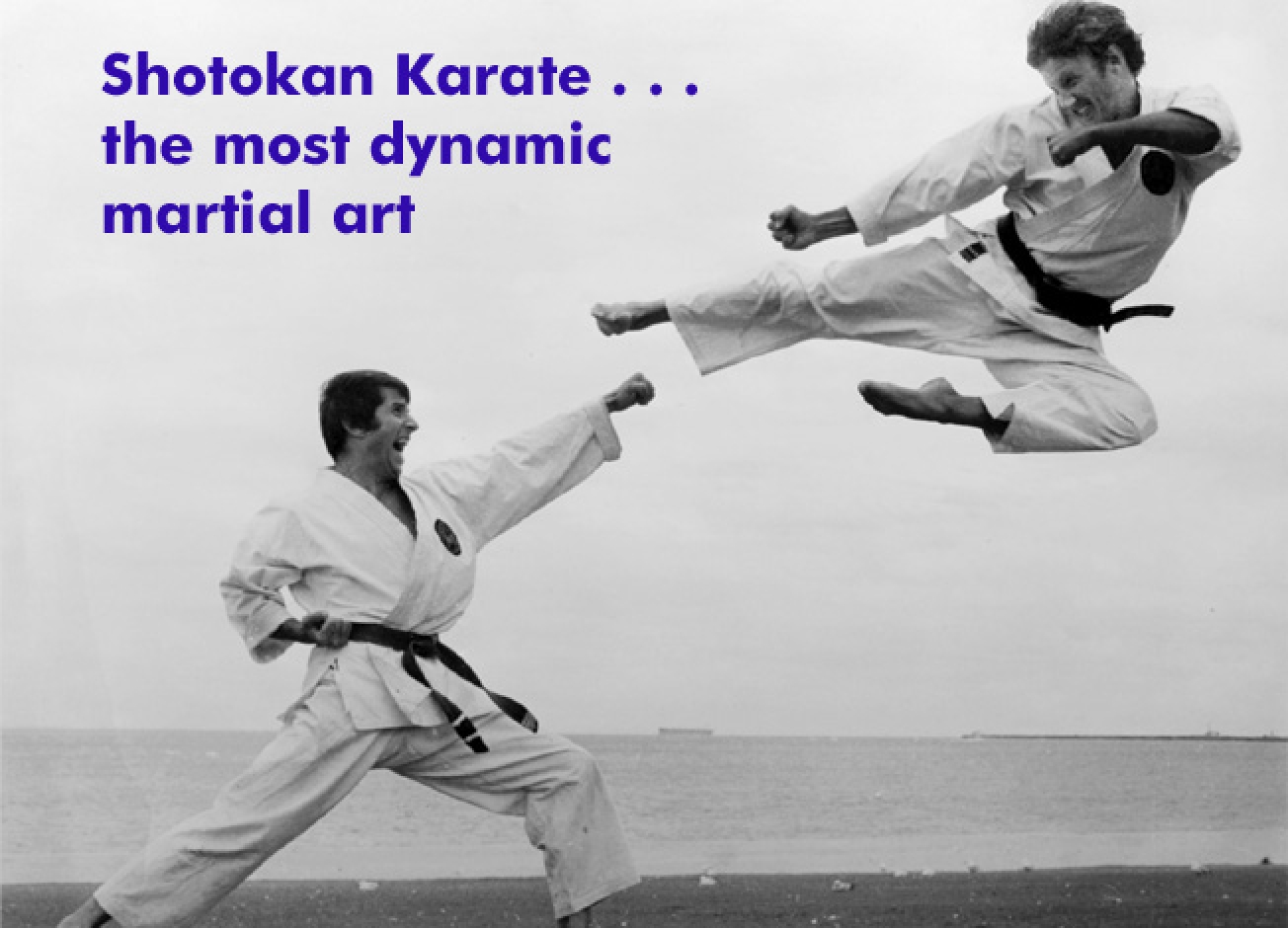 Welcome to WSKF the World Shotokan Karate-do Federation