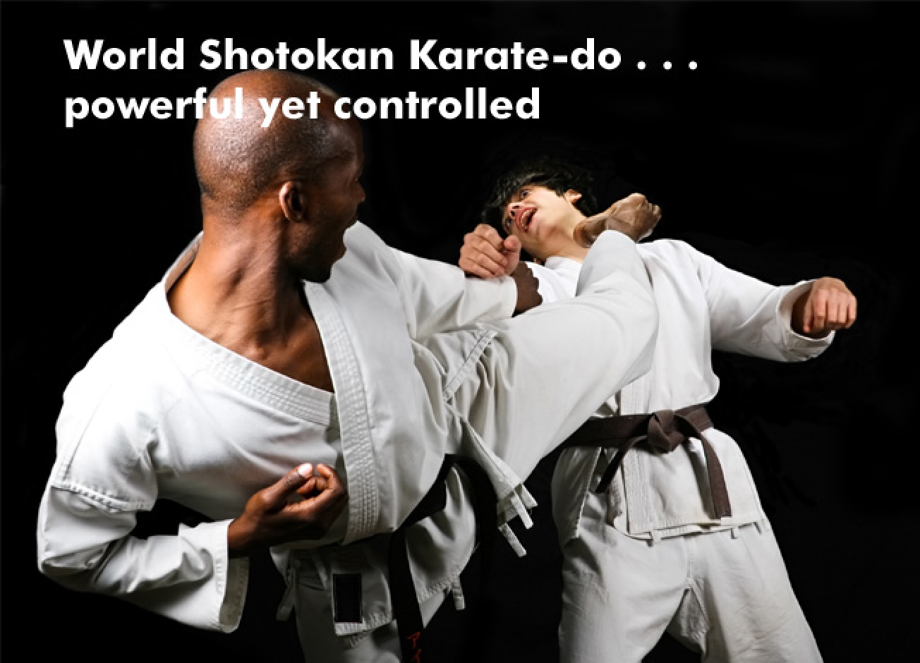 Welcome To WSKF The World Shotokan Karate-do Federation